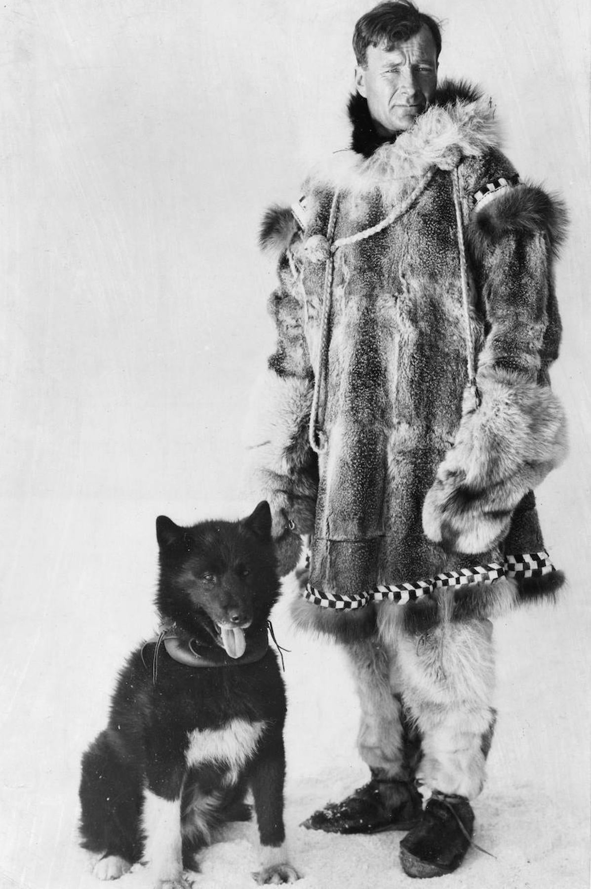 Balto, el perro que salvó de la difteria a los niños de un pueblo en Alaska