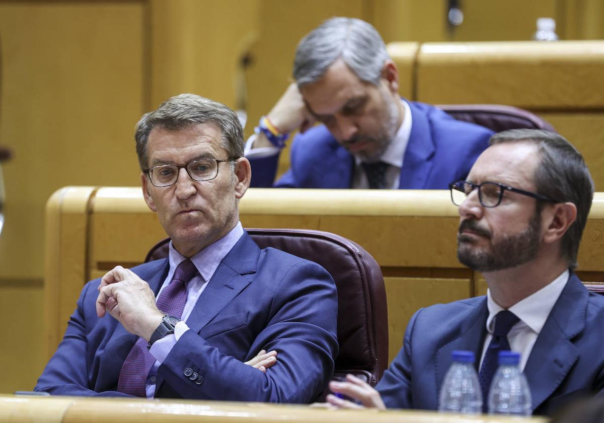 Alberto Núñez Feijóo, este martes en el Senado.