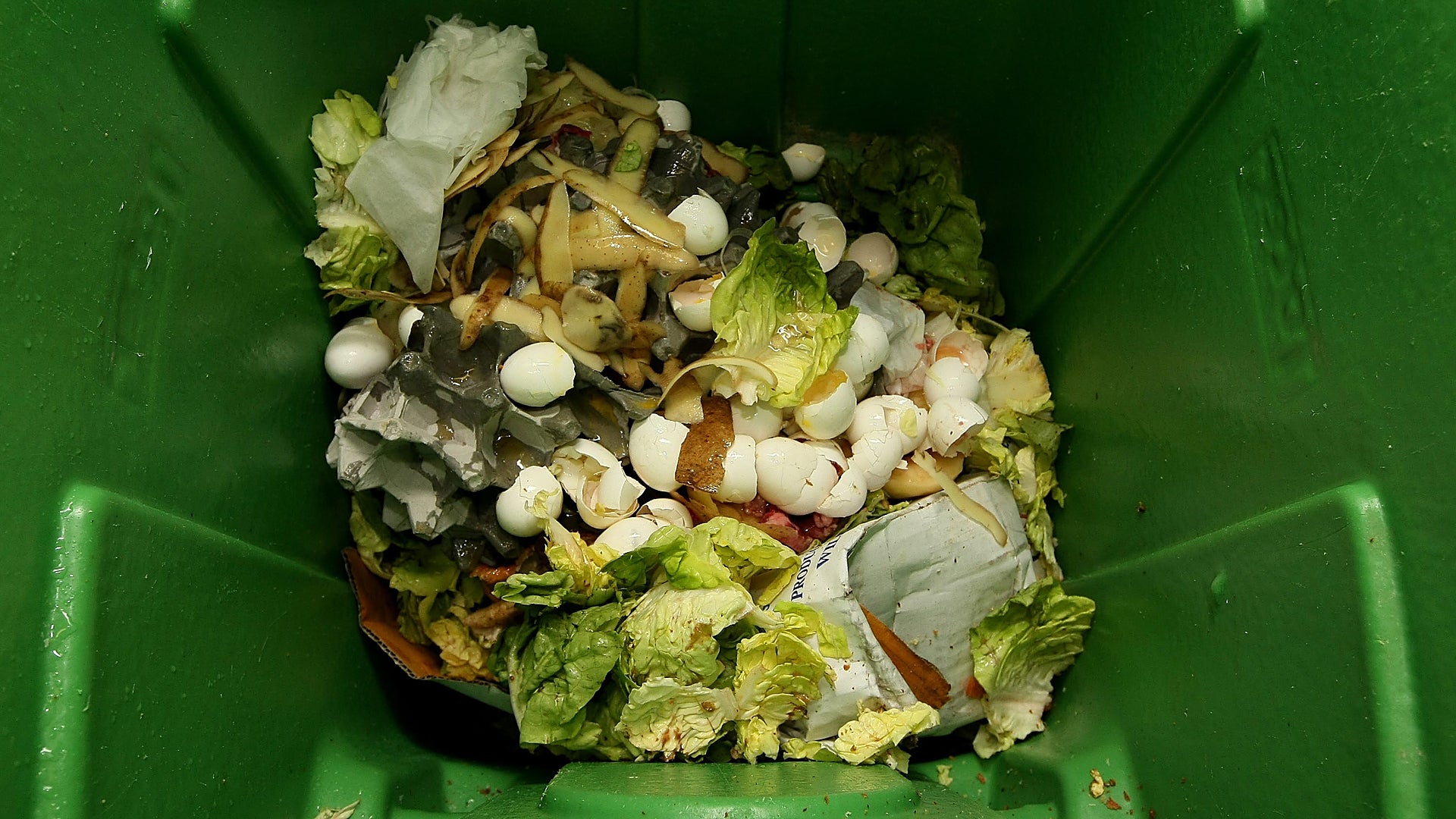 The impressive figures of food waste every year 40 of all the food