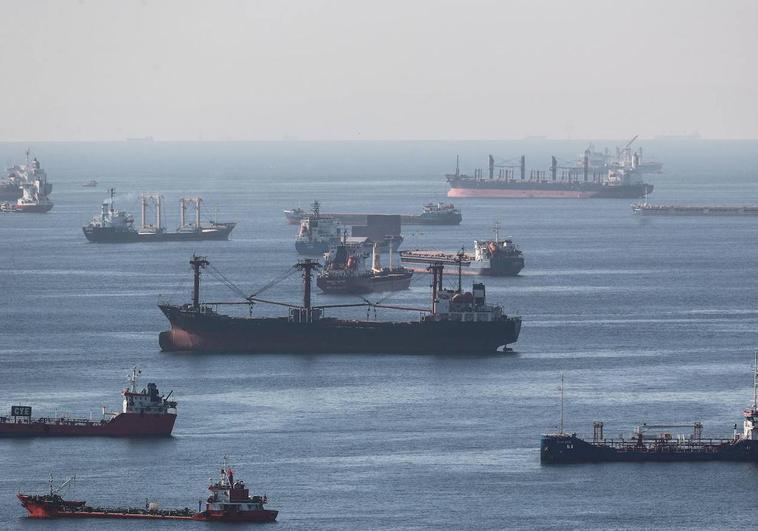 La Eurocámara respalda prorrogar las exenciones arancelarias a productos ucranianos