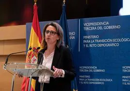 Teresa Ribera, vicepresidenta tercera y ministra de Transición Ecológica.