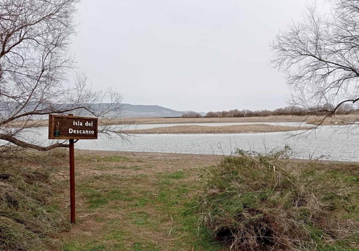 La sequía lleva a Las Tablas de Daimiel a una situación crítica