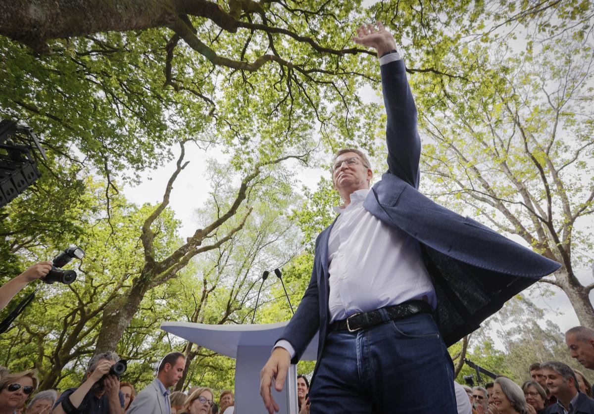 Alberto Núñez Feijóo, líder nacional del PP, en una romería que organiza su partido en Galicia