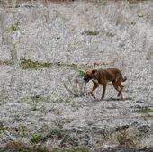 La ONU alerta de que El Niño provocará en verano temperaturas globales más altas