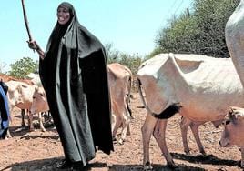 Imagen de sequía y pastores en Etiopía, una zona en la que también hay muchos casos de robo de ganado.