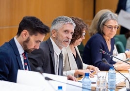 Marlaska este lunes durante la reunión del Red de Coordinación para la Seguridad en Procesos Electorales