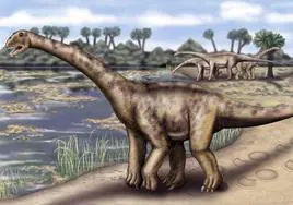 Recreación del Turiasaurus, una especie de saurópodo gigante encontrado en Teruel.