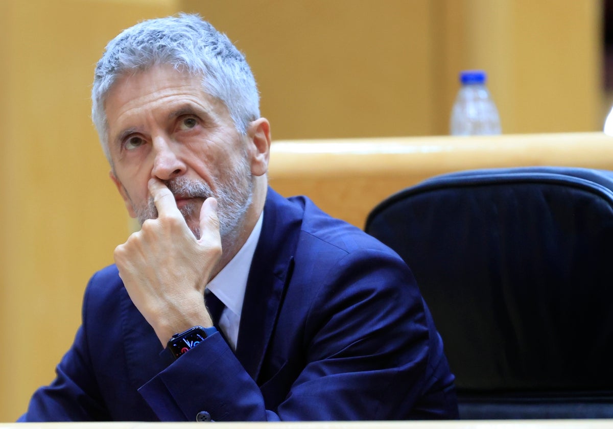 El ministro del Interior, Fernando Grande Marlaska, el martes durante la sesión de control al Gobierno en el Senado.