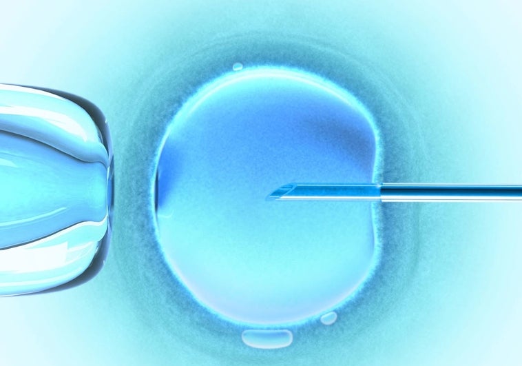 Nace un bebé con ADN de tres personas en Reino Unido