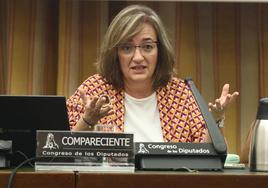 La presidenta de la Airef, Cristina Herrero.