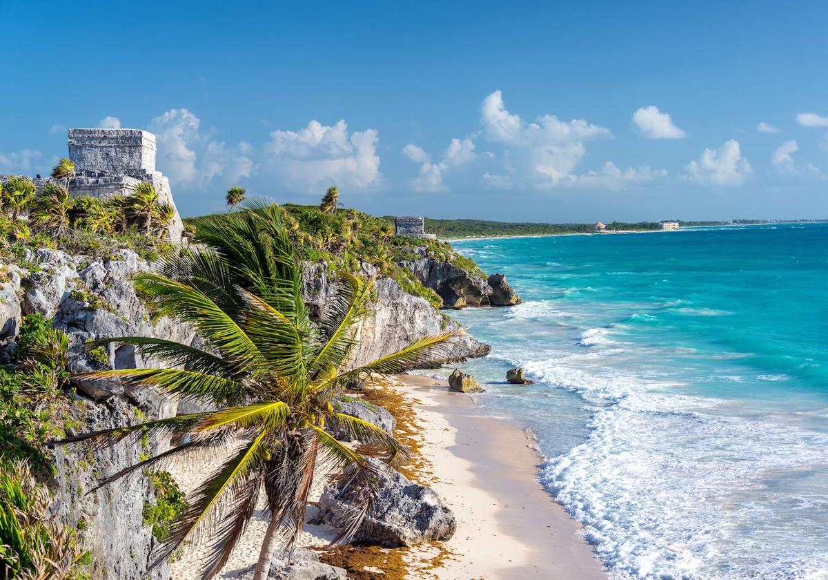 Los turistas se encontraron con su agresor en la costa mexicana de Oaxaca.