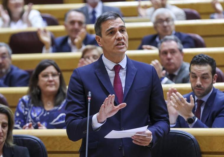 Pedro Sánchez en el Senado