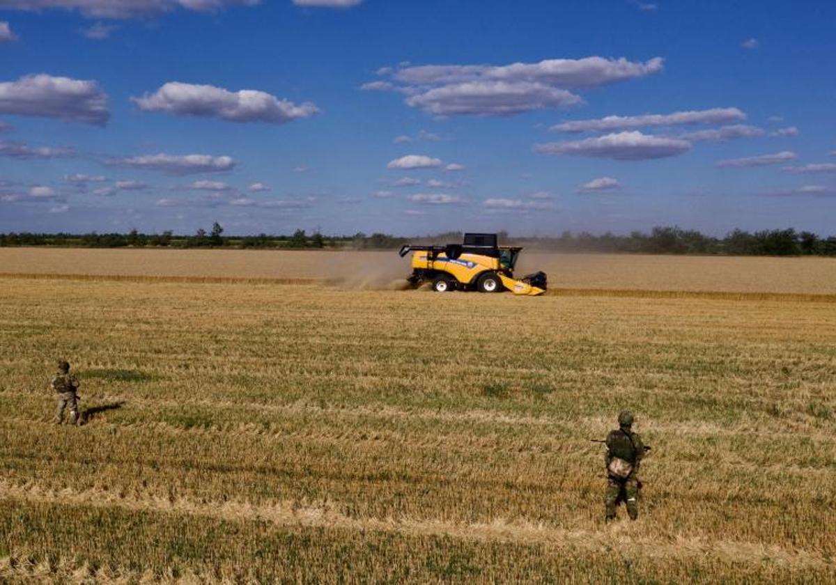 Agricultores cosechan trigo en la localidad ucraniana de Melitopol.