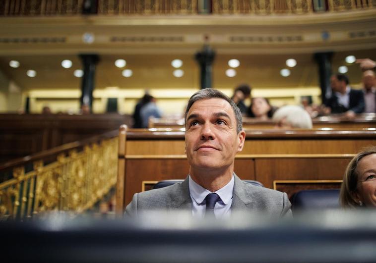Pedro Sánchez, este miércoles en el Congreso.