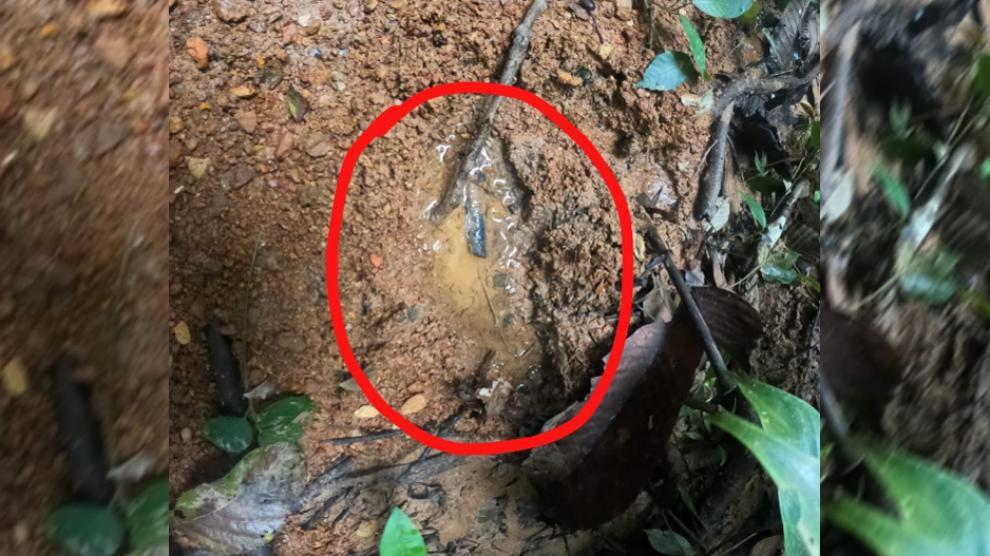 Huella impresa en el barro que los militares atribuyen a uno de los niños perdidos en la selva.