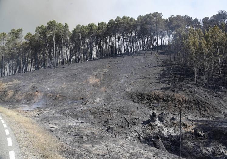 Carretera entre las alquerías de La Muela y Robledo, con el negro a derecha e izquierda.