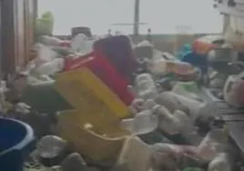 Imagen de las montañas de basura apiladas dentro del inmueble.