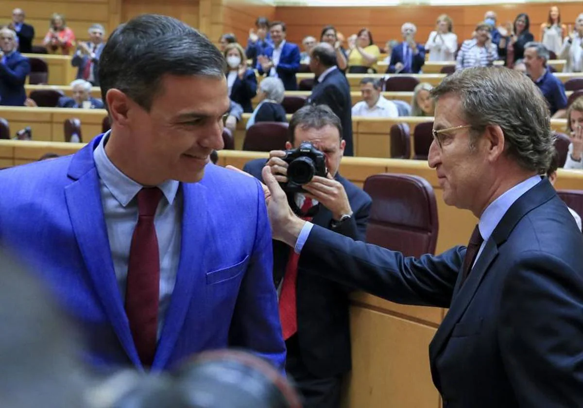 Pedro Sánchez y Alberto Núñez Feijóo, en el Senado