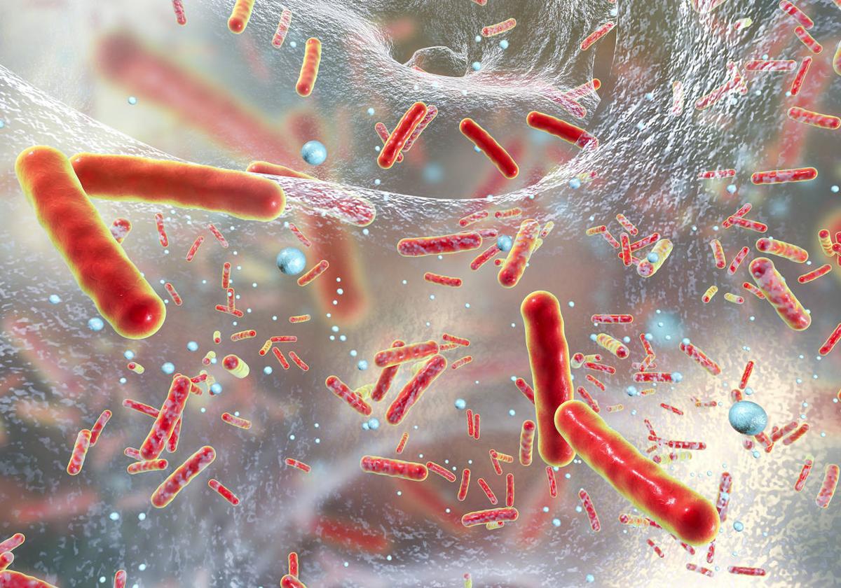Descubren los primeros depredadores de la Tierra, nuestros ancestros más remotos
