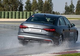 Neumáticos sostenibles