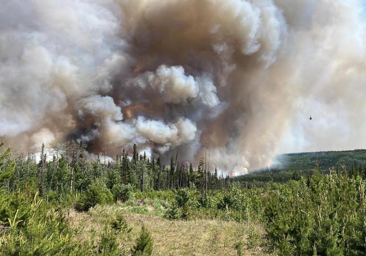 Una densa columna de humo se eleva sobre un bosque de la localidad de Dawson Creek, en la Columbia Británica.