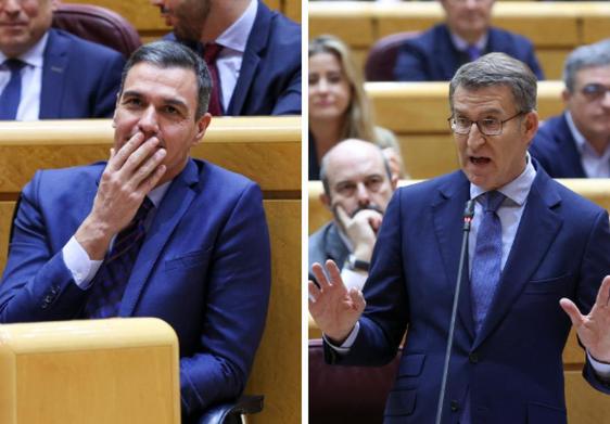 Pedro Sánchez y Alberto Núñez Feijóo, en el Senado.