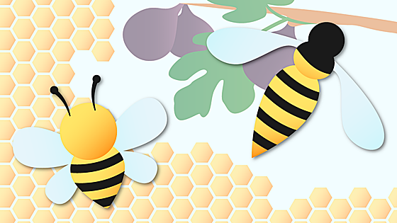 Avispas y abejas: guía para conocer sus principales diferencias