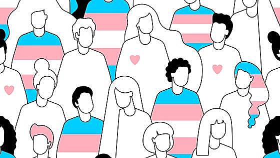 Verdades, mentiras y aclaraciones sobre la ley trans