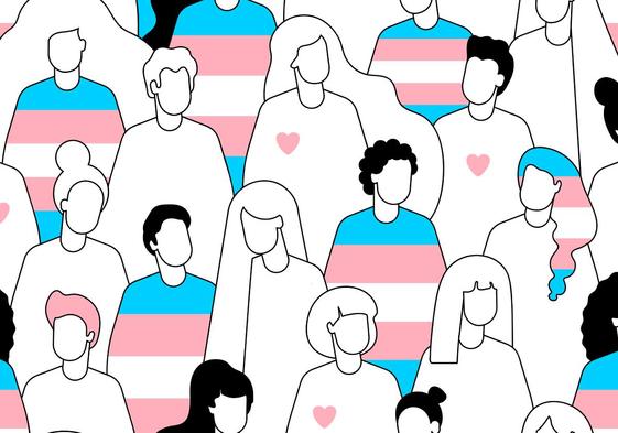 Verdades, mentiras y aclaraciones sobre la ley trans