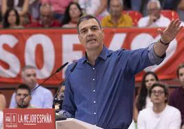 El secretario general del PSOE y presidente del Gobierno, Pedro Sánchez, el sábado pasado en un mitin en el Puerto de la Cruz (Tenerife).