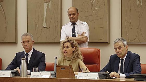 Víctimas del terrorismo piden en el Congreso ante Bildu que condenados por ETA no puedan ir en las listas electorales