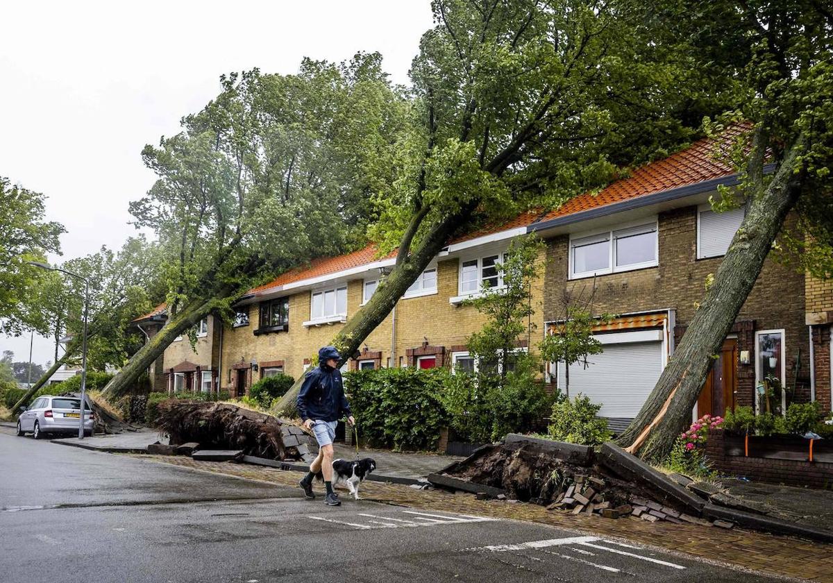 La tormenta ha arrasado con numerosos árboles en Haarlem, a las afueras de Amsterdam, donde ha fallecido una mujer.