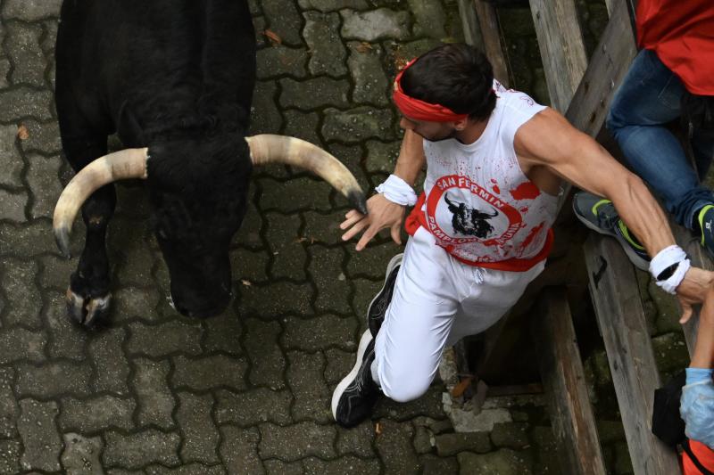 Un mozo acorralado por uno de los toros de la ganadería La Palmosilla.