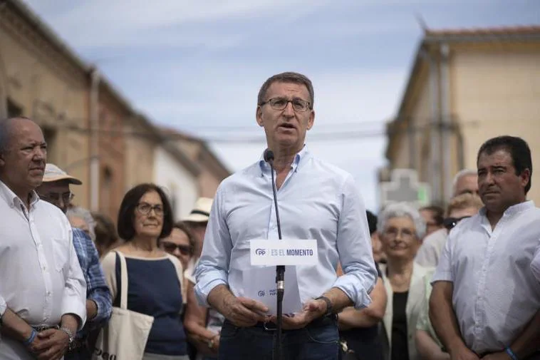 El presidente del PP, Alberto Núñez Feijóo.