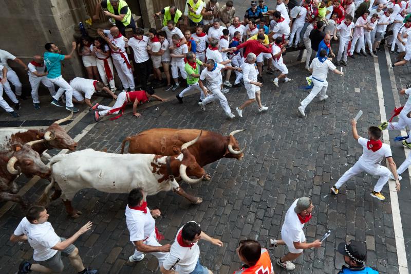 Los toros de la ganadería de Cebada Gago en el tercer encierro de San Fermín.