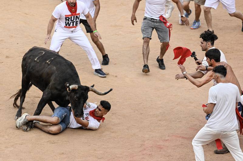 Suelta de vaquillas en plaza de toros de Pamplona tras el cuarto encierro. 