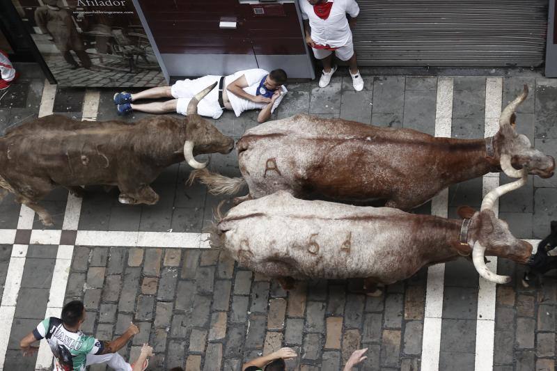 Uno de los toros de la ganadería de Núñez del Cuvillo pasa junto a un corredor.