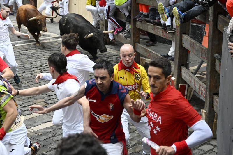 La manada ha salido muy estirada ya desde el inicio. Un toro negro se ha adelantado al resto de sus hermanos y ha liderado la manada.