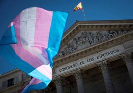 Una bandera del colectivo trans ondea frente al Congreso.