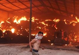 Un hombre trata de huir de las llamas en una granja de Sesklo, en el centro de Grecia.