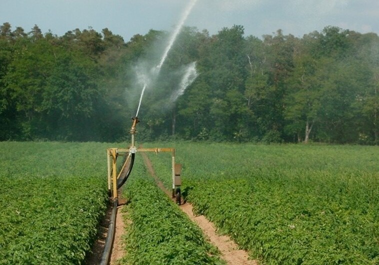 Los cultivos  se 'beben' ocho de cada diez vasos de agua en España