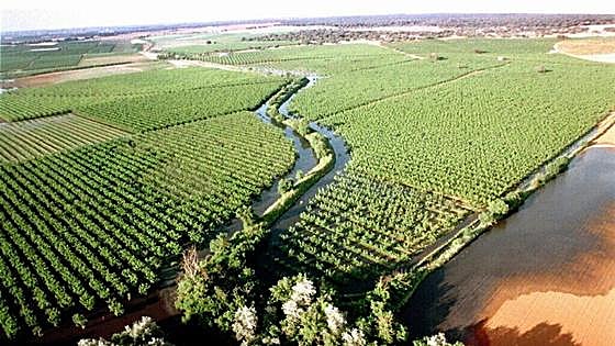 Un juez exime a la empresa Boliden de pagar los 89 millones por el vertido de Aznalcóllar