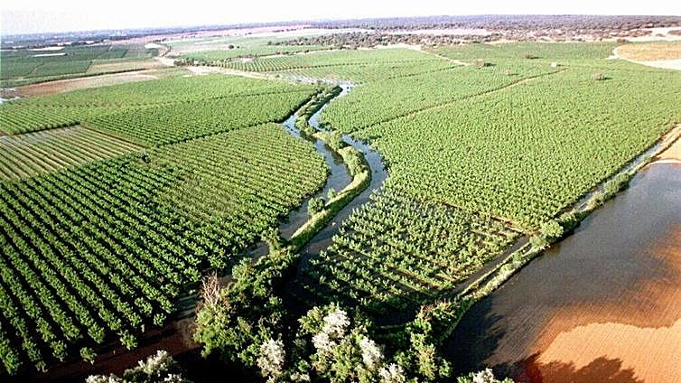 Un juez exime a la empresa Boliden de pagar los 89 millones por el vertido de Aznalcóllar