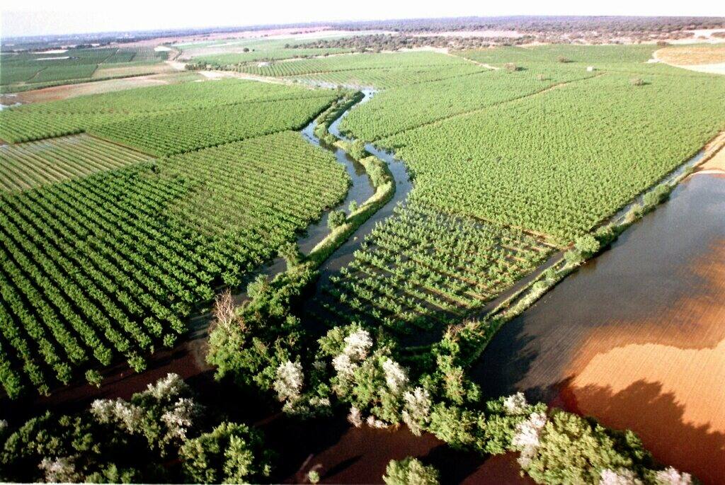 Vista del río Guadiamar en 1989, en la que se aprecia las zonas de cultivo inundadas por los residuos tóxicos de la mina.