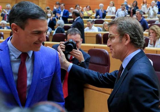 Pedro Sánchez y Alberto Núñez Feijóo, durante una sesión del Senado en la anterior legislatura.