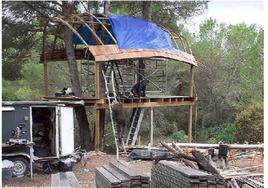 La casita en un árbol.