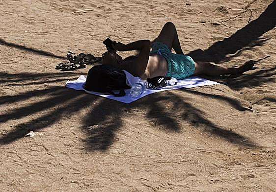 Un hombre bajo la sombra de una palmera en la playa de la Malagueta.