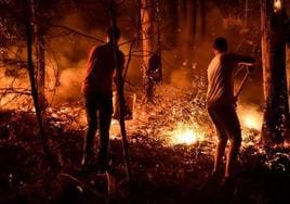 Dos vecinos de Leiría, en el norte de Portugal, intentan apagar un incendio forestal