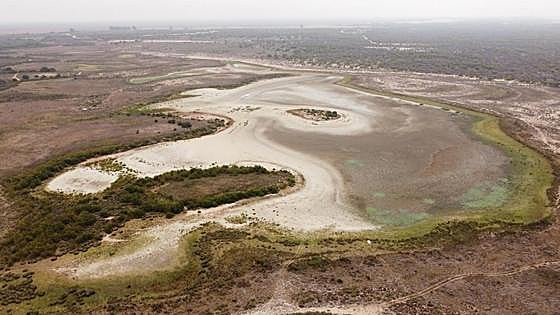 La laguna más grande de Doñana se seca por segundo año consecutivo