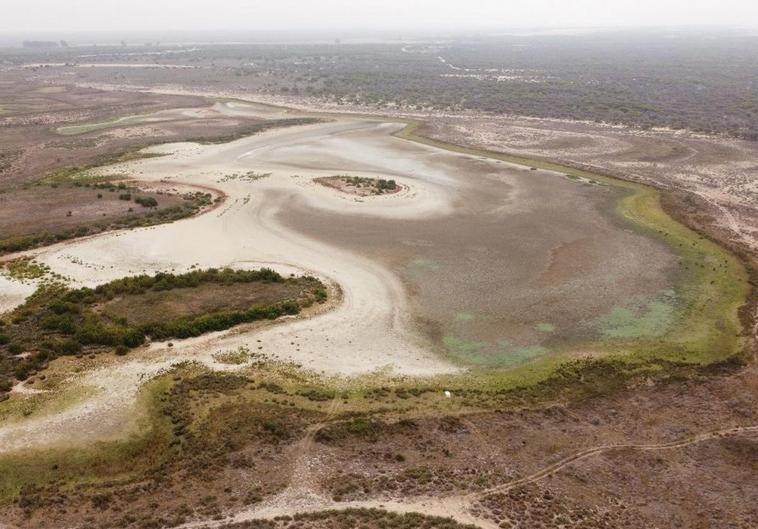 La laguna más grande de Doñana se seca por segundo año consecutivo